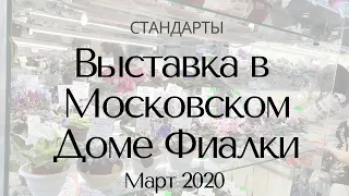 Выставка в Доме Фиалки Март 2020 Стандарты