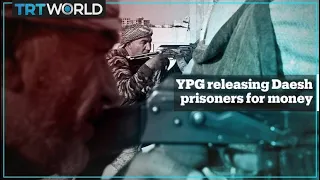 YPG terror group releasing Daesh prisoners for money