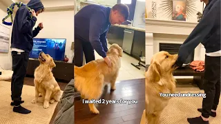 Golden Retriever Makes Cutest Noise When Greeting Owner