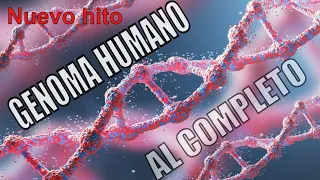 GENOMA HUMANO DESCIFRADO AL COMPLETO