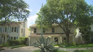 Massive century plant about to flower in front yard of Houston house