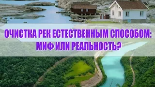 Дыхание жизни. Очистка рек естественным способом: миф или реальность?