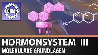 Trailer - Hormonsystem III - Molekulare Grundlagen; Tier und Pflanze - Biologie - Schulfilm