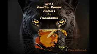 2Pac-Panther Power Remix 1 By Panchomio