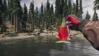 Far Cry 5:Fly Fishing for Kokanee Salmon