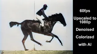 AI 60fps Colorzied | Race Horse First Film Ever 1878 Eadweard Muybridge - DAIN App