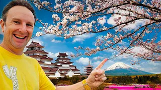 Complete Guide to CHERRY BLOSSOMS in JAPAN