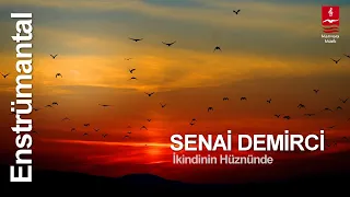 Senai Demirci "İKİNDİNİN HÜZNÜNDE" ENSTRÜMANTAL