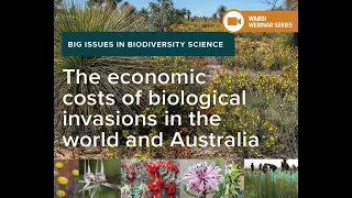 The economic costs of biological invasions in the world and Australia