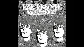 Various – Kaleidoscope Presents: Kaleidoscopic Vibrations 80’s Neo Garage Rock Psychedelic Music LP