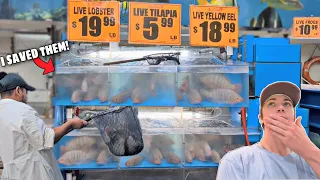 SAVING FISH from EXOTIC FOOD MARKET!