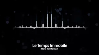 Pierre Van Dormael - Le temps immobile