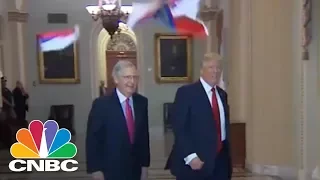 Protester Throws Russian Flags At President Donald Trump On Capitol Hill | CNBC