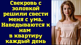 Свекровь с золовкой решили свести меня с ума. Наведываются к нам в квартиру каждый день