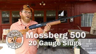 Mossberg Slugging with Bead Sights