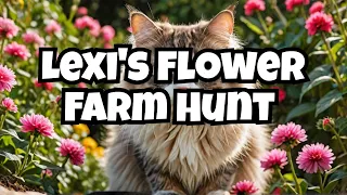 Lexi the Cat's Hunting Expedition at the Old Flower Farm (4K ASMR)