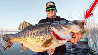 Catch the Biggest Bass of Your LIFE This November! (Top Baits for GIANT Bass)