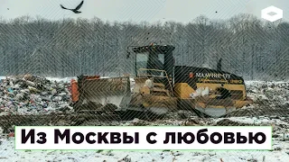 Из Москвы с любовью: как столичный мусор отравит поморскую тайгу