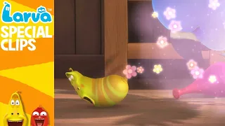 [Official] Fart - 1 MIN - Fun Clips from Animation LARVA