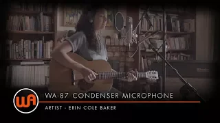 Warm Audio // Erin Cole Baker "This Guitar" - WA-87 Condenser Microphone