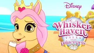 Whisker Haven Tales with the Palace Pets | Season 3: Full Episodes 1-8 | Disney