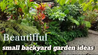 small tropical backyard garden design ideas || create a paradise garden in your backyard