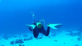 Дайвинг в Красном море  Diving in the Red Sea [11-11-2016]