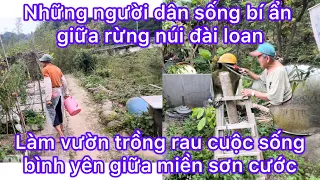 NHỮNG NGƯỜI DÂN SỐNG BÍ ẨN GIỮA RỪNG NÚI ĐÀI LOAN LÀM VƯỜN TRỒNG RAU CUỘC SỐNG GIỮA MIỀN SƠN CƯỚC