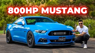 800HP BOOSTED FORD MUSTANG GT 5.0 V8 - 9 SECOND PONY CAR REVIEW