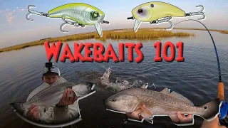 Wake Baits 101 How To Rig & Catch Redfish And Speckled Trout On Them