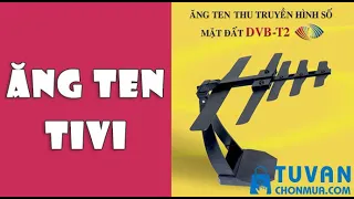 Top anten tivi, ăng ten tivi DVB T2 thu sóng tốt nhất - TVCM