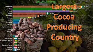 Largest Cocoa Producing Countries in the World | Brazil,Nigeria,Ghana,Côte d'Ivoire,Ecuador