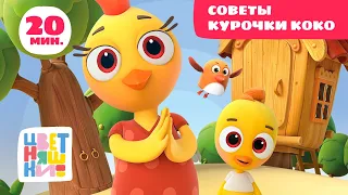 Цветняшки — Советы Курочки Коко — Сборник — Развивающий мультфильм