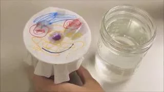 Chromatography at Wise Wonders Children's Museum