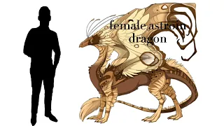 dragon size Comparison