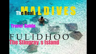 4K | MALDIVES | FULIDHOO ISLAND | TRAVEL GUIDE - 2021  #budget #budgettravelling #diving #snorkeling