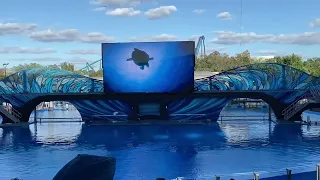 Sea World Orca Show - Início