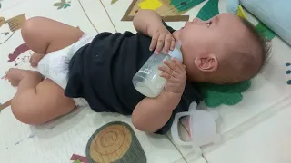 Toro tự uống sữa. 6 tháng tuổi