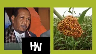 Humbureereg | Xasan Aadan Samatar | Hees Maay | Hobolada #Waaberi #somalia