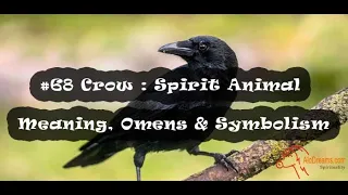 #92 Crow Spirit Animal - Meaning and Interpretation