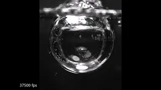 Cavitation in slow motion (37,500 fps)