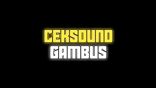 CEKSOUND GAMBUS || TS-PRODUCTION