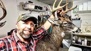 HOW TO MOUNT A DEER HEAD FOR BEGINNERS  ***SUPER EASY*** WHITETAIL TAXIDERMY!