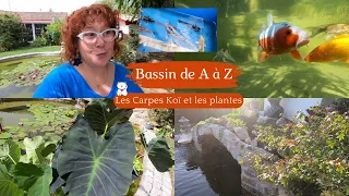 BASSIN DE A à Z 🎏 Introduction des CARPES KOÏ | PLANTES | Pourquoi autant de temps pour les poissons