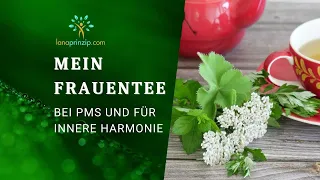 Frauentee Rezept: Wie du mit Melisse, Schafgarbe, Frauenmantel & Beifuß deine Gesundheit förderst