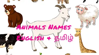 Animals Names  English & Tamil விலங்குகளின் பெயர்கள் learn Animals names for kids