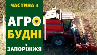 [АгроБудні Запоріжжя] Збір соняшника (частина 3)