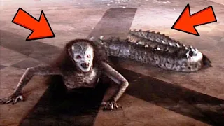 कैमरे में कैद 5 सबसे डरावने दानव 5 Mysterious Creatures Caught on Tape