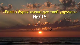 715 Если в бурях жизни дух твой удручен