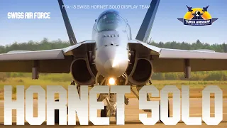 Swiss F18 Hornet Display team. Turku Airshow 2023! Dynamic and powerful!